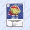 CARTE  09 MELON - Collection 2023 - Amuse-toi en cuisine