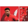 CARTE 17 DELE ALLI - Collection 2020 - Mange comme un Champion