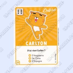 CARTE  29 CARLTON -...
