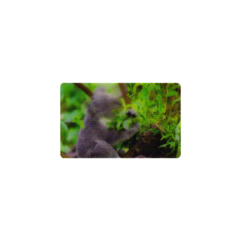 CARTE  04 KOALA - Collection 2014 - Animaux 3D