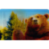 CARTE  05 GRIZZLI - Collection 2014 - Animaux 3D