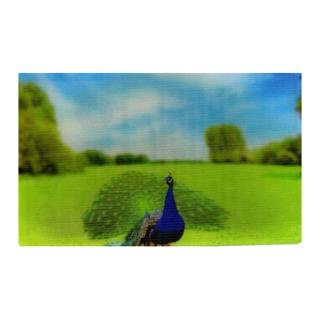 CARTE 12 PAON - Collection 2014 - Animaux 3D
