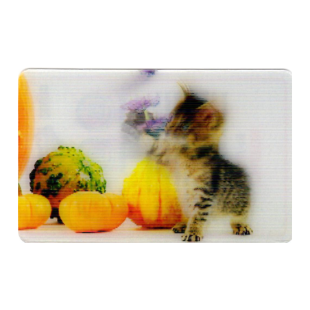 CARTE 13 CHATON - Collection 2014 - Animaux 3D
