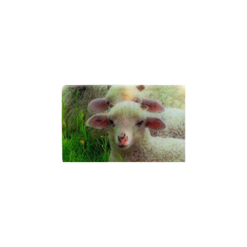 CARTE  17 AGNEAU - Collection 2014 - Animaux 3D