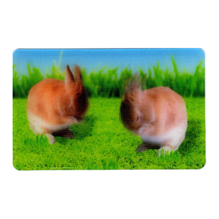 CARTE 19 LAPIN - Collection 2014 - Animaux 3D