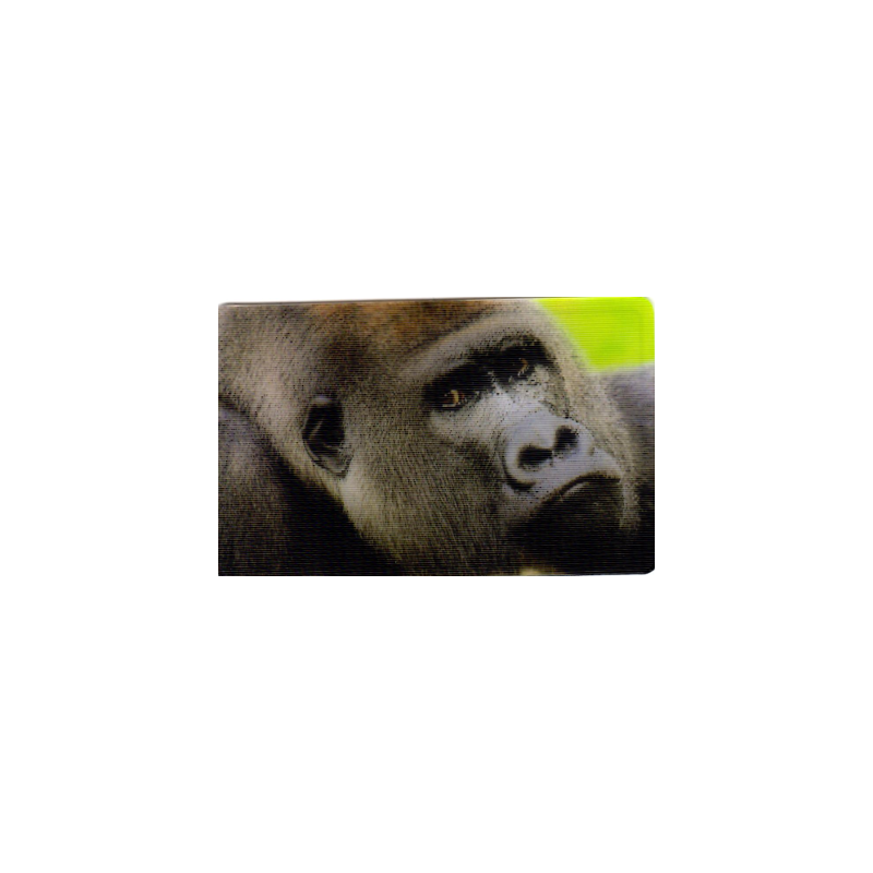 CARTE  23 GORILLE - Collection 2014 - Animaux 3D