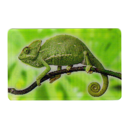 CARTE 27 CAMÉLÉON - Collection 2014 - Animaux 3D