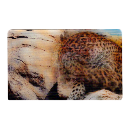 CARTE 28 JAGUAR - Collection 2014 - Animaux 3D