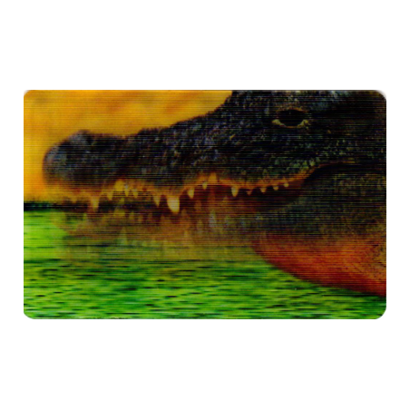 CARTE 29 CROCODILE - Collection 2014 - Animaux 3D