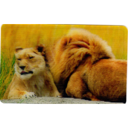 CARTE  34 LION - Collection...