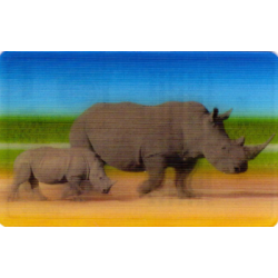 CARTE  35 RHINOCÉROS -...