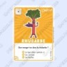 CARTE  61 RHUBARBE - Collection 2023 - Amuse-toi en cuisine