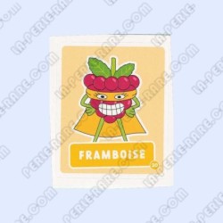 VIGNETTE  20 FRAMBOISE -...