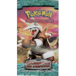 Wrap Pokemon - Ex Gardiens...