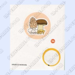 VIGNETTE  26  - Collection...