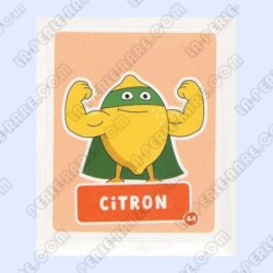 VIGNETTE  44 CITRON -...