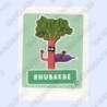 VIGNETTE  78 RHUBARBE - Collection 2023 - Amuse-toi en cuisine