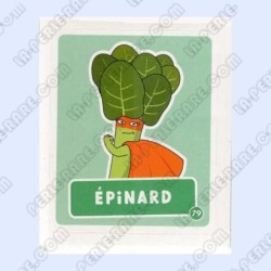 VIGNETTE  79 ÉPINARD -...