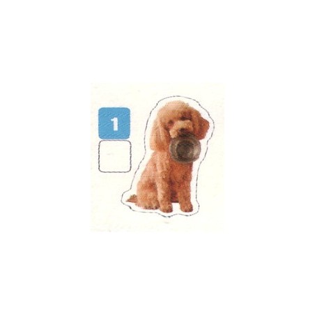 VIGNETTE 1 CANICHE - Collection 2024 - Nos amies les bêtes