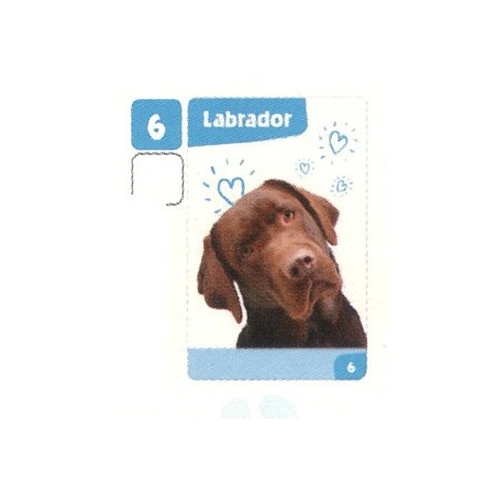 VIGNETTE 6 LABRADOR - Collection 2024 - Nos amies les bêtes