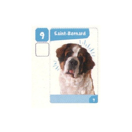 VIGNETTE 9 SAINT-BERNARD - Collection 2024 - Nos amies les bêtes