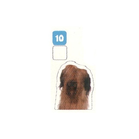 VIGNETTE 10 BRIARD - Collection 2024 - Nos amies les bêtes