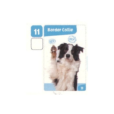 VIGNETTE 11 BORDER COLLIE - Collection 2024 - Nos amies les bêtes