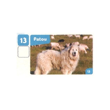 VIGNETTE 13 PATOU - Collection 2024 - Nos amies les bêtes