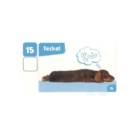 VIGNETTE 15 TECKEL - Collection 2024 - Nos amies les bêtes