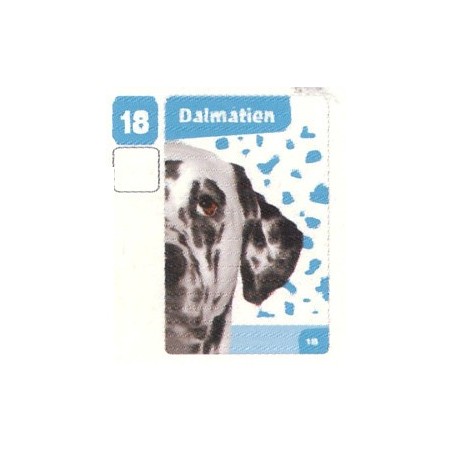VIGNETTE 18 DALMATIEN - Collection 2024 - Nos amies les bêtes