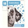VIGNETTE  18 DALMATIEN - Collection 2024 - Nos amies les bêtes