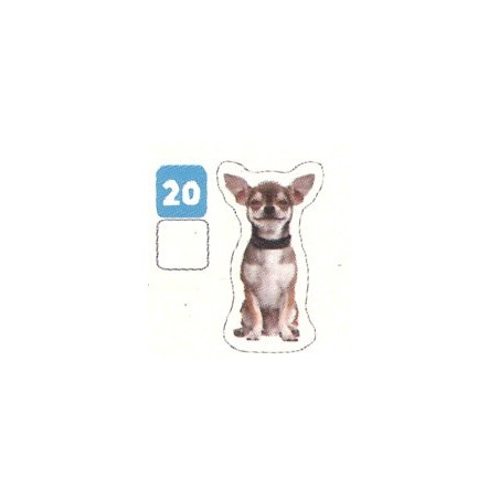 VIGNETTE 20 CHIHUAHUA - Collection 2024 - Nos amies les bêtes