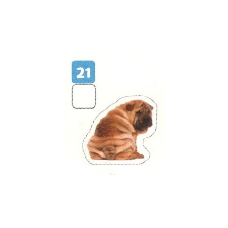 VIGNETTE 21 SHAR-PEI - Collection 2024 - Nos amies les bêtes
