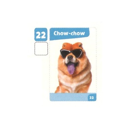VIGNETTE 22 CHOW-CHOW - Collection 2024 - Nos amies les bêtes