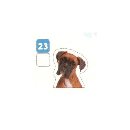 VIGNETTE 23 BOXER - Collection 2024 - Nos amies les bêtes