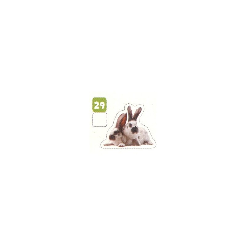 VIGNETTE  29 LAPIN REX - Collection 2024 - Nos amies les bêtes