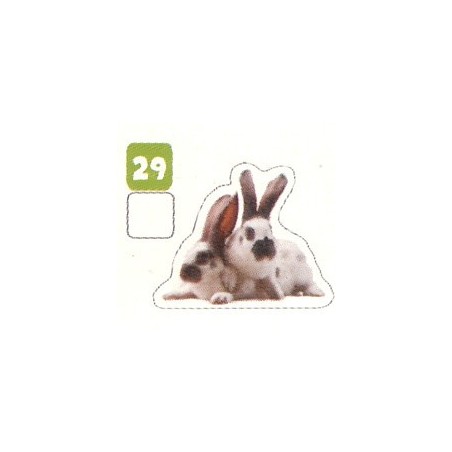 VIGNETTE 29 LAPIN REX - Collection 2024 - Nos amies les bêtes