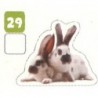 VIGNETTE  29 LAPIN REX - Collection 2024 - Nos amies les bêtes