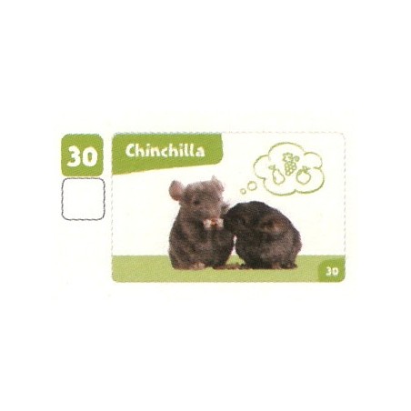VIGNETTE 30 CHINCHILLA - Collection 2024 - Nos amies les bêtes