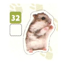 VIGNETTE  32 HAMSTER RUSSE...