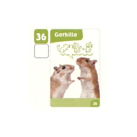 VIGNETTE 36 GERBILLE - Collection 2024 - Nos amies les bêtes