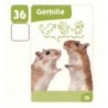 VIGNETTE  36 GERBILLE - Collection 2024 - Nos amies les bêtes