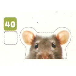 VIGNETTE  40 RAT -...