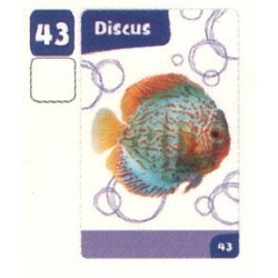 VIGNETTE  43 DISCUS -...