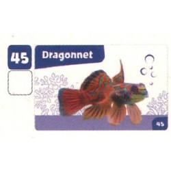 VIGNETTE  45 DRAGONNET -...