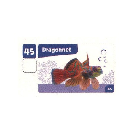 VIGNETTE 45 DRAGONNET - Collection 2024 - Nos amies les bêtes