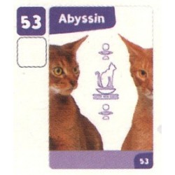 VIGNETTE  53 ABYSSIN -...