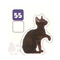VIGNETTE  55 HAVANA BROWN -...