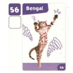 VIGNETTE  56 BENGAL -...