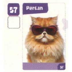 VIGNETTE  57 PERSAN -...